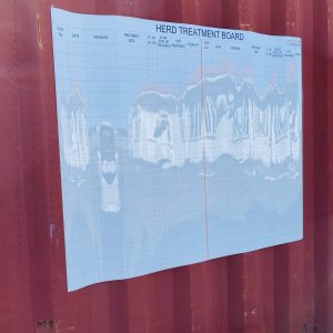 Whiteboard Sheet Magnet – Multiple Sizes